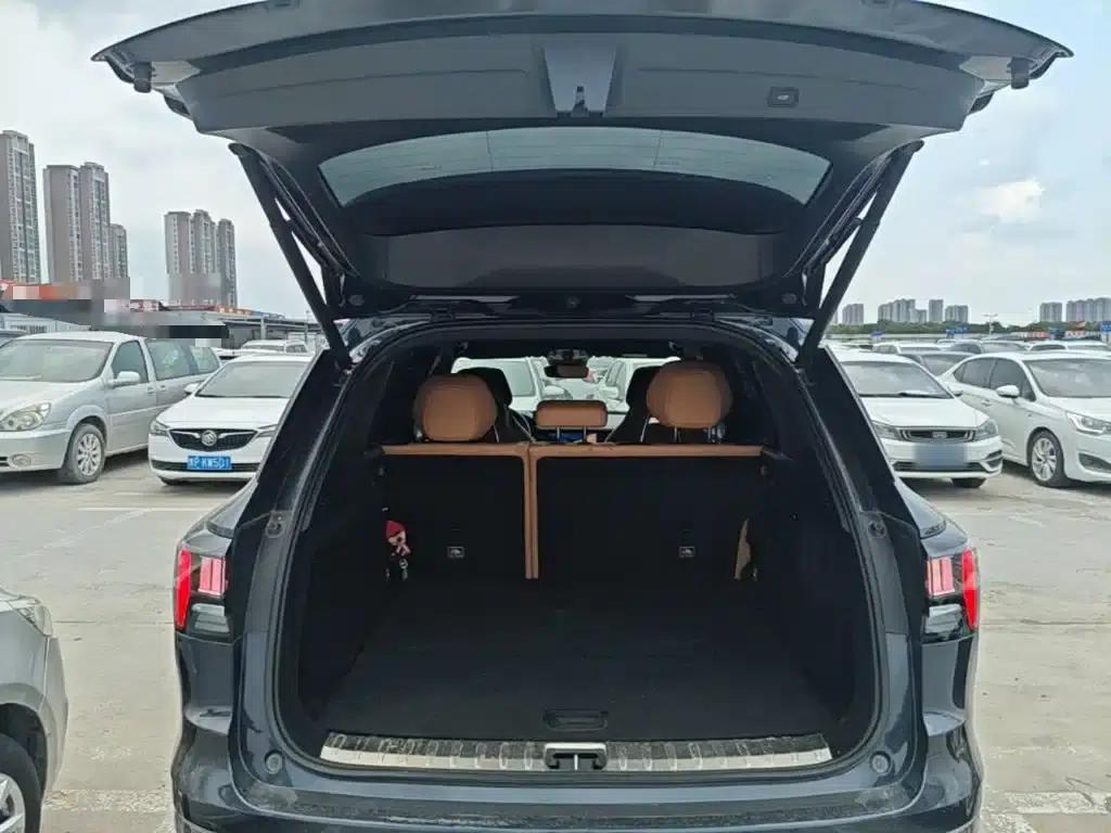 Lynk & Co 09 EM-P 2023 2.0TD EM-P AWD Asian Touring Administrative Edition 5-seater — миниатюра 19