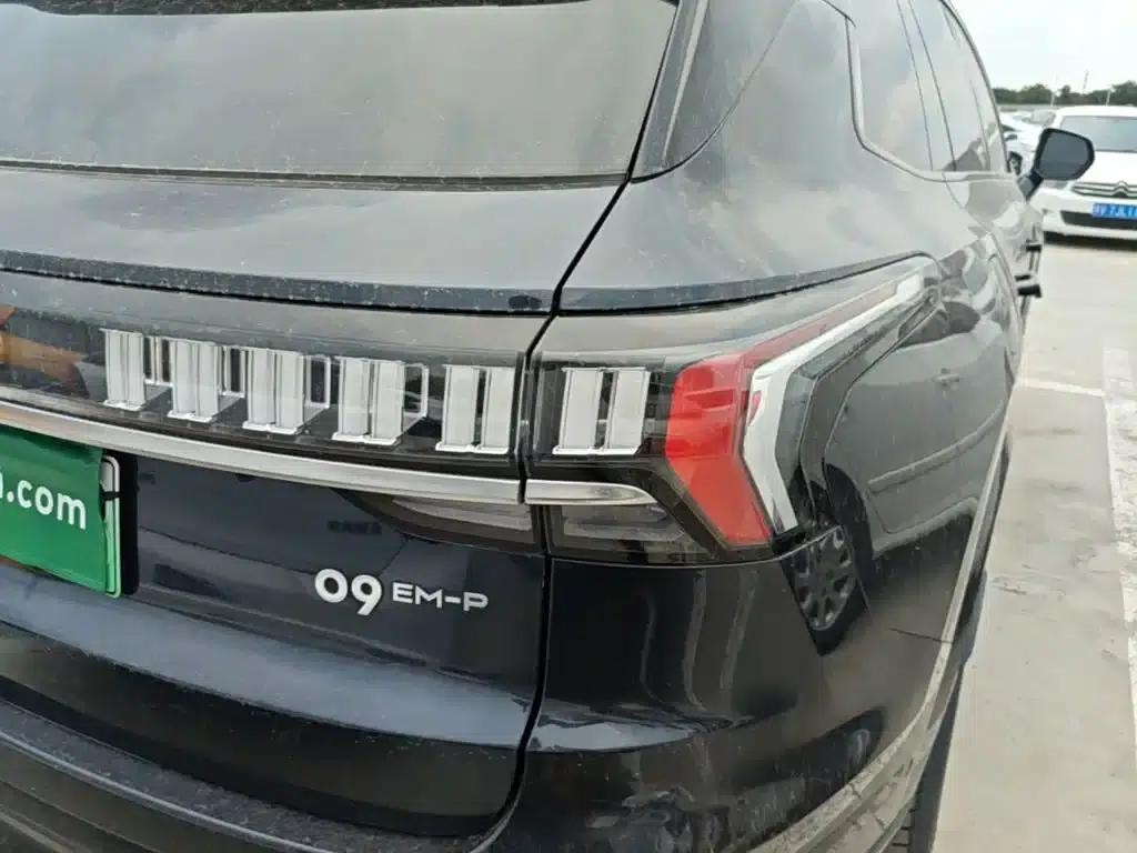 Lynk & Co 09 EM-P 2023 2.0TD EM-P AWD Asian Touring Administrative Edition 5-seater — миниатюра 8