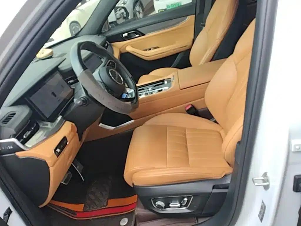 Lynk & Co 09 EM-P 2023 2.0TD EM-P Long Range Edition AM Six-Seater — миниатюра 15