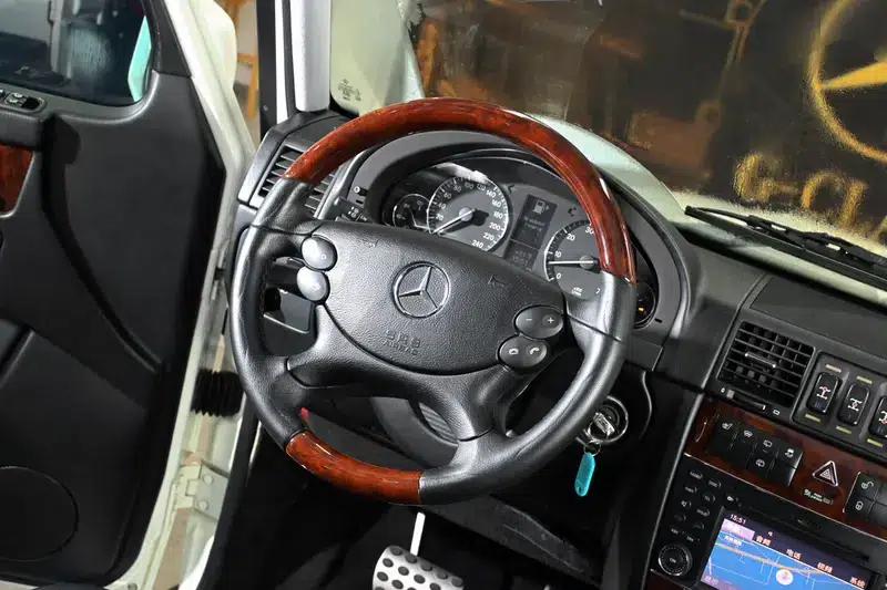 2010 Mercedes-Benz G-Class G 500 — миниатюра 19
