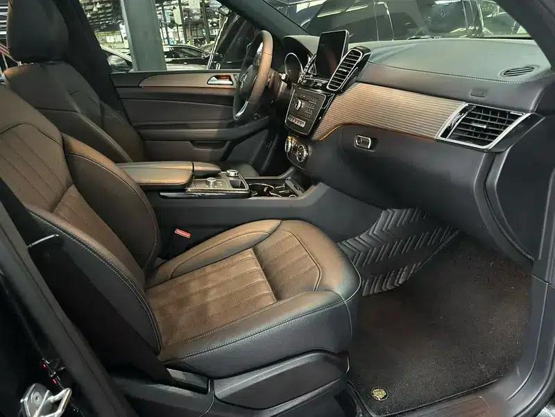 Mercedes-Benz GLE (Imported) 2018 GLE 320 4MATIC Dynamic Limited Edition — миниатюра 9