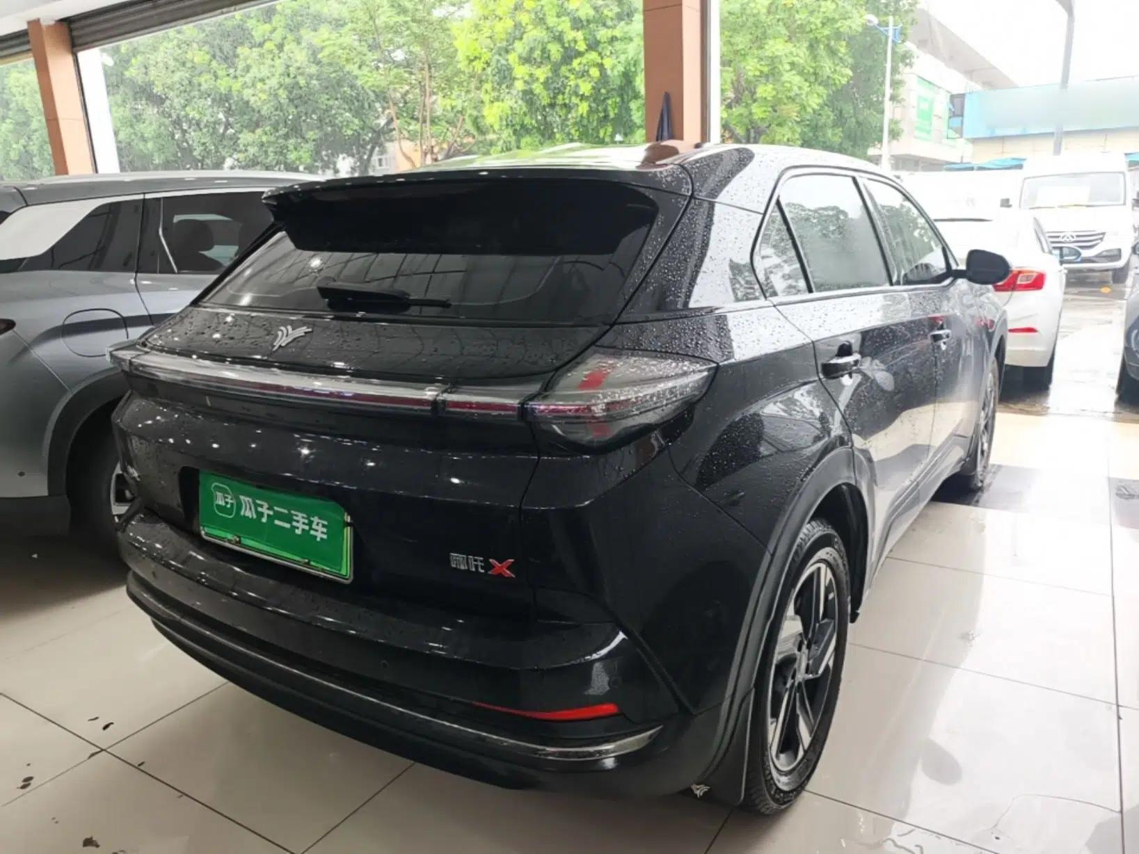 NETA X 2023 400 Lite — миниатюра 6