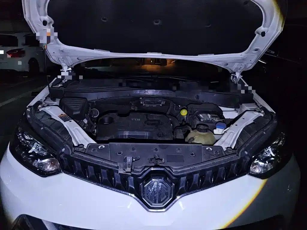 2015 GS 1.5TGI TST Luxury Edition — миниатюра 16