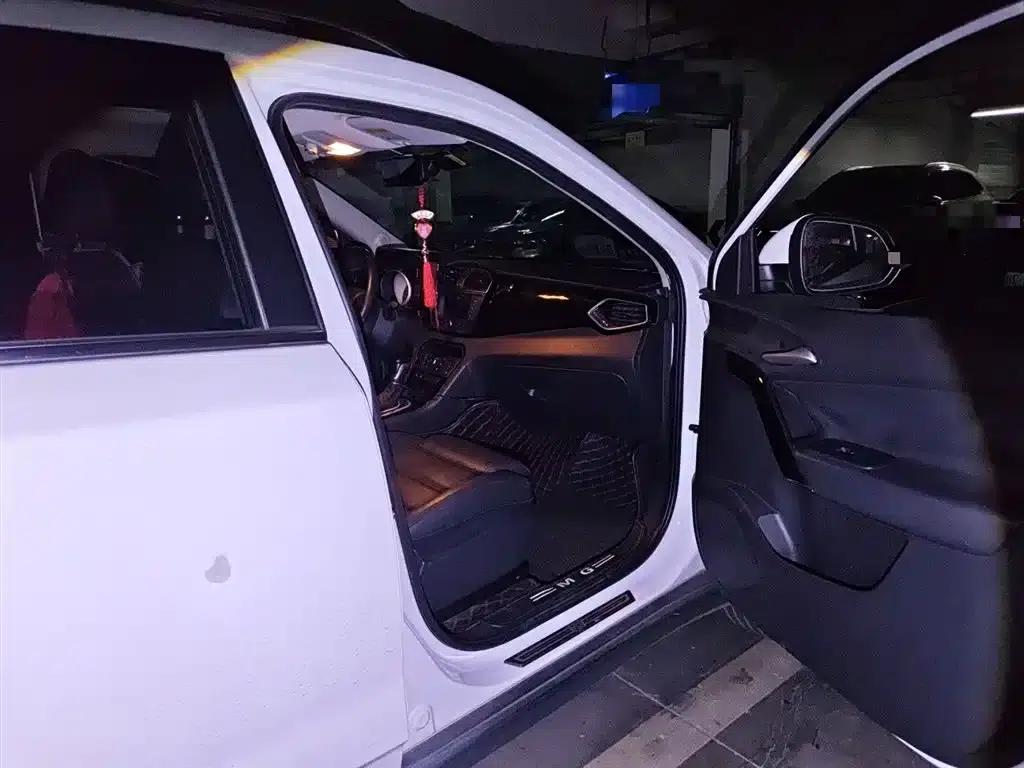 2015 GS 1.5TGI TST Luxury Edition — миниатюра 21