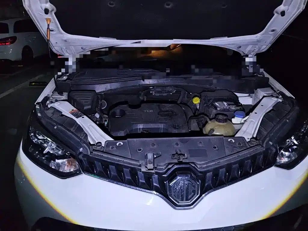 2015 GS 1.5TGI TST Luxury Edition — миниатюра 22