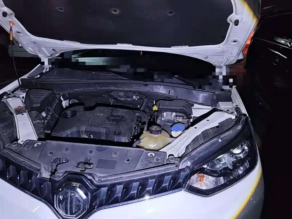 2015 GS 1.5TGI TST Luxury Edition — миниатюра 23