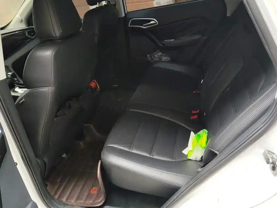 2015 GS 1.5TGI TST Luxury Edition — миниатюра 11