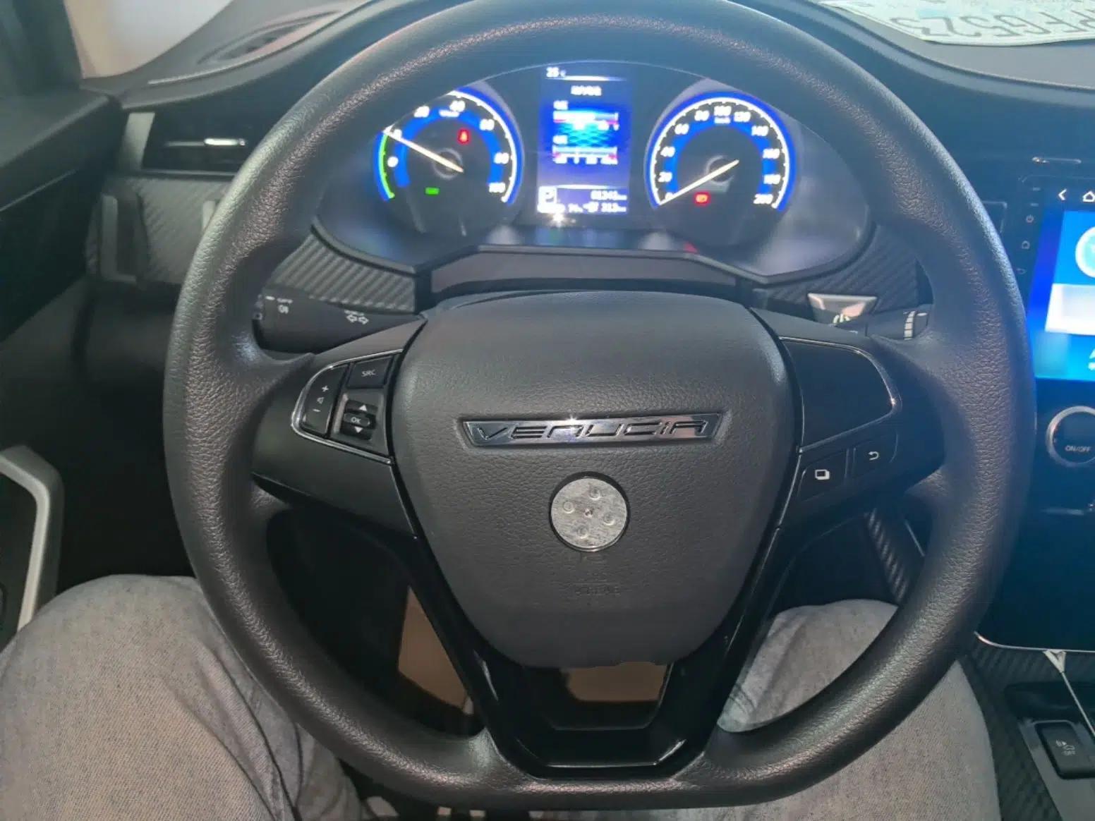 Venucia D60EV 2023 PLUS Comfort Edition RJ Model — миниатюра 13