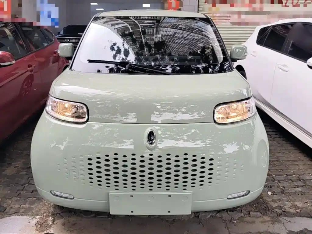 ORA White Cat 2022 Upgraded Version 305km Luxury Model (Lithium Iron Phosphate) — миниатюра 3