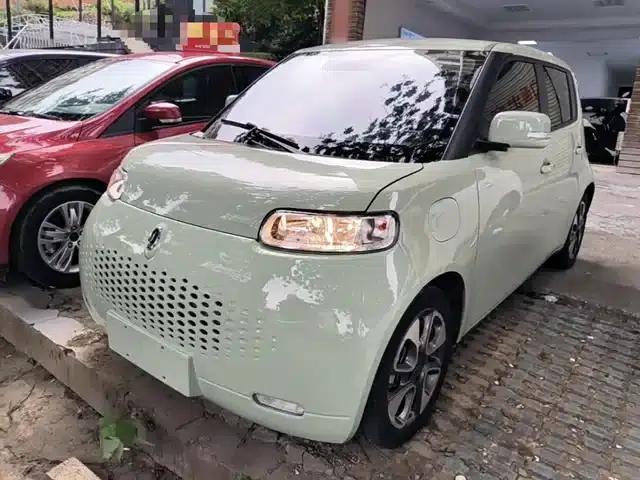 ORA White Cat 2022 Upgraded Version 305km Luxury Model (Lithium Iron Phosphate)