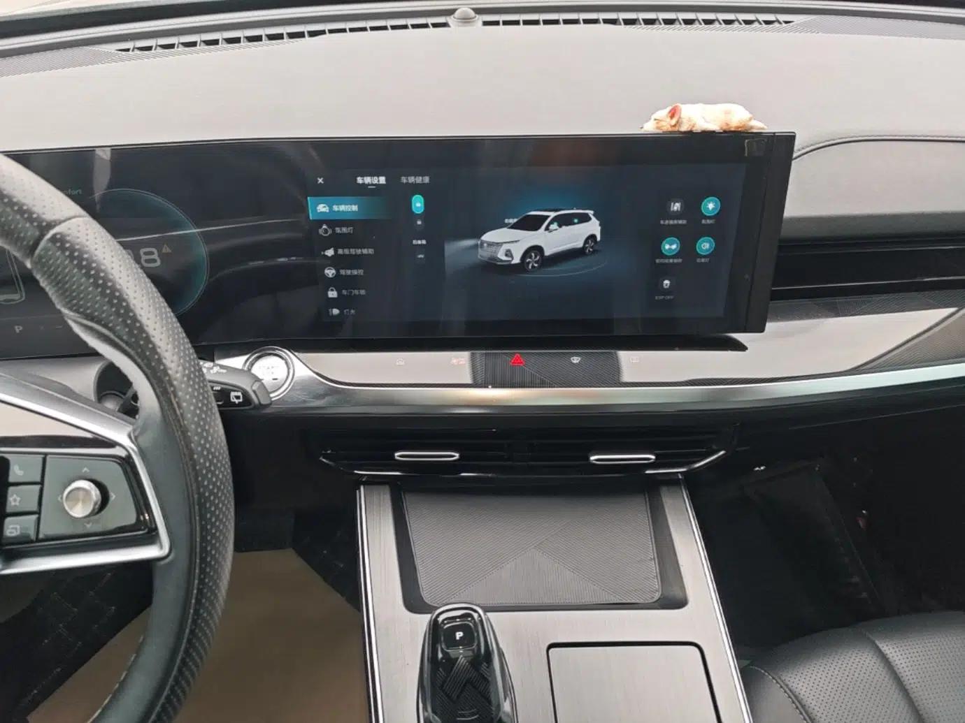 Roewe RX5 MAX 2022 1.5T Automatic Zhiwei Prestige Edition — миниатюра 15