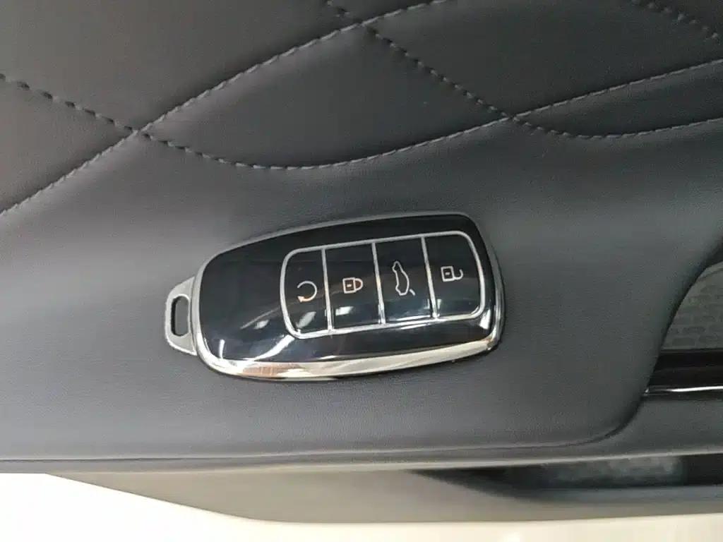 Chery Tiggo 9 2023 2.0T Dual-Clutch Two-Wheel Drive Leading Edition 5-Seater — миниатюра 9