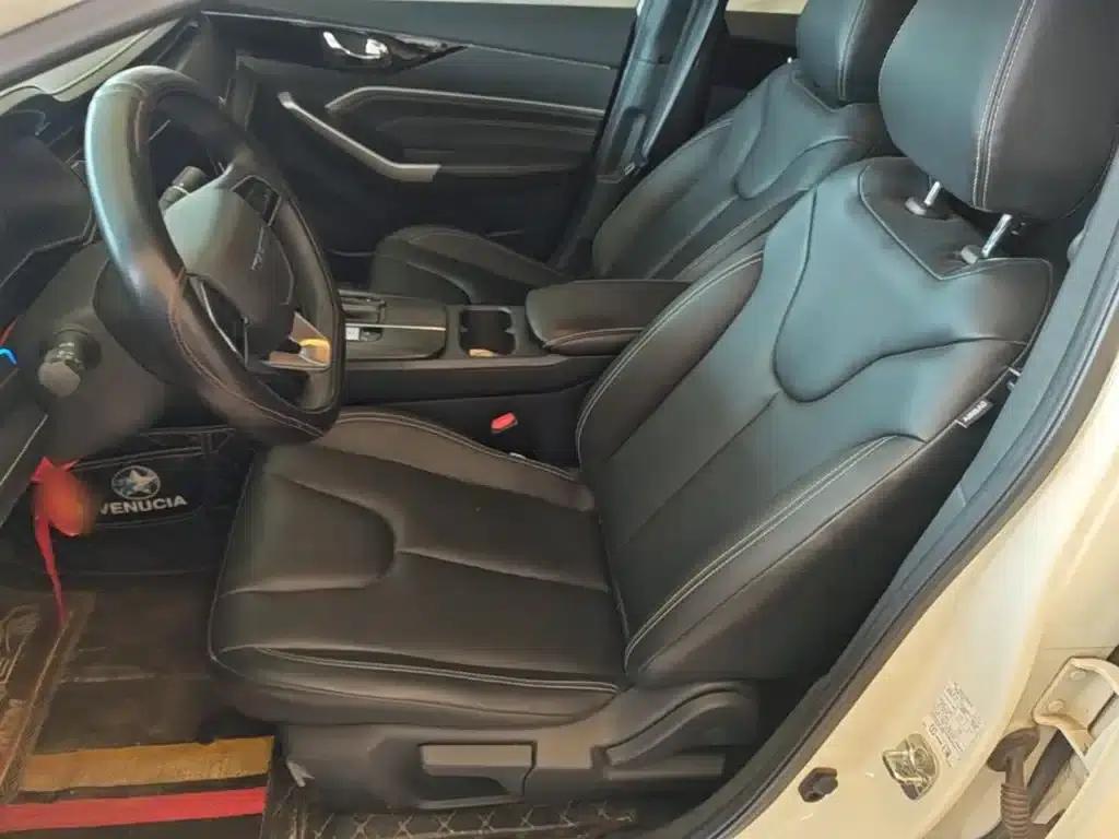 Venucia D60 2021 PLUS 1.6L XL CVT Elite Edition — миниатюра 15