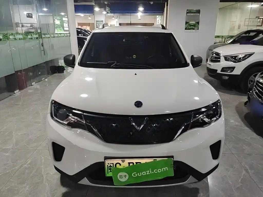 Venucia e30 2021 Elite Edition — миниатюра 3