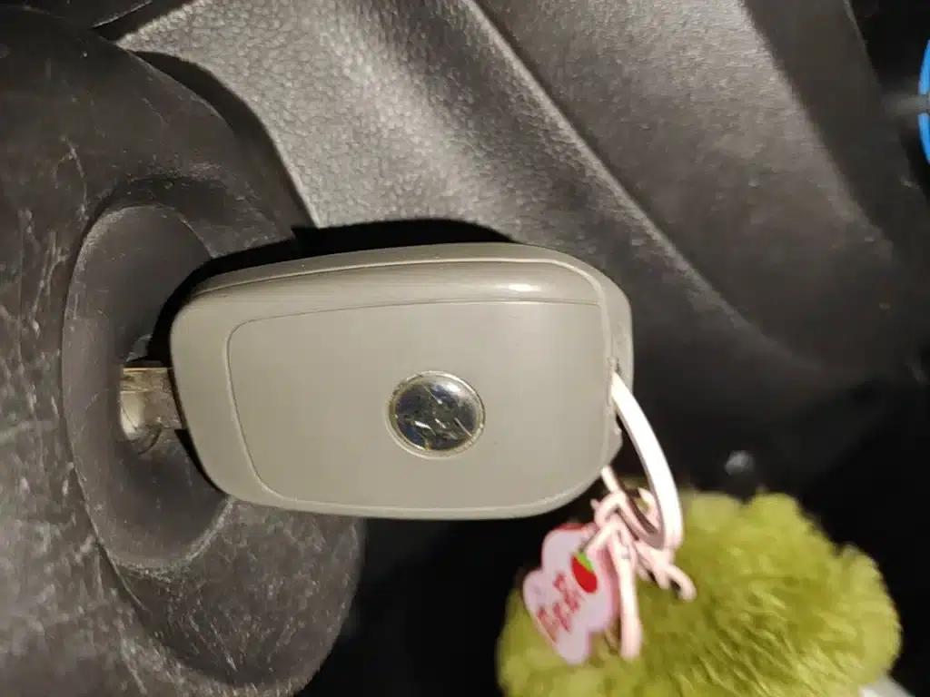 Venucia e30 2021 Elite Edition — миниатюра 9