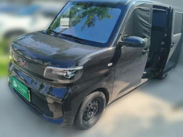 Wuling Zhiguang New Energy 2025 Standard Model