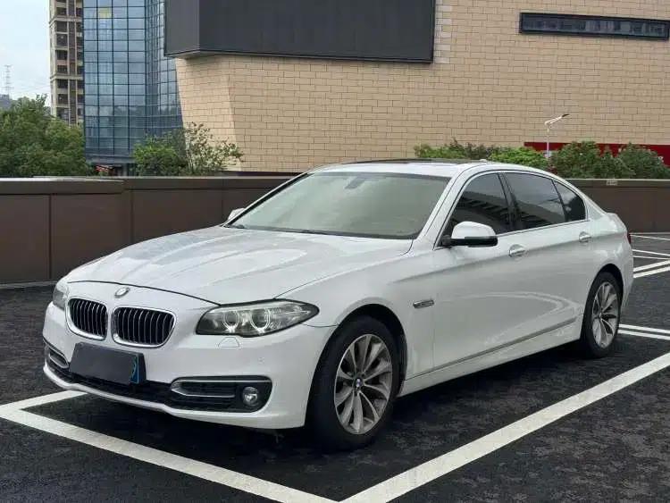 2014 BMW 5 Series 525Li Luxury Design Package — миниатюра 1