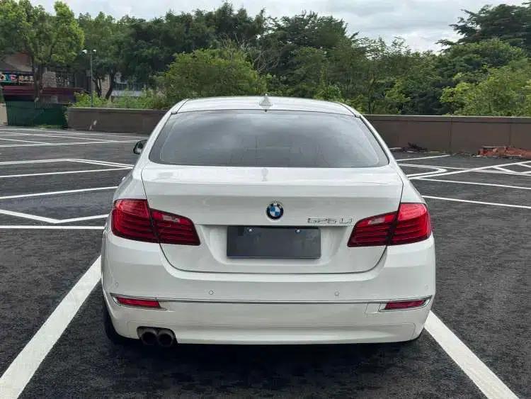 2014 BMW 5 Series 525Li Luxury Design Package — миниатюра 5
