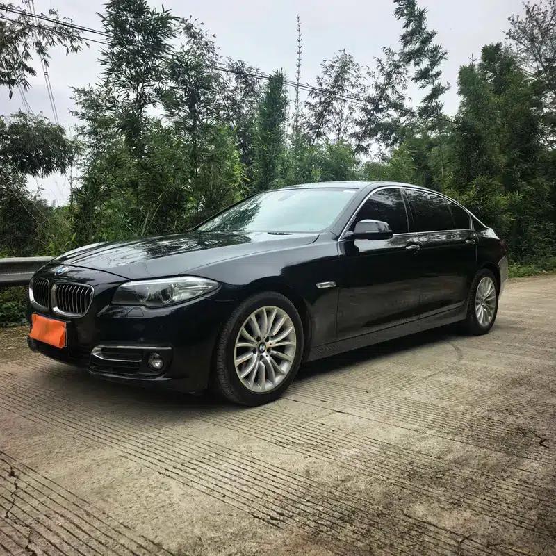 2014 BMW 5 Series 525Li Luxury Design Package — миниатюра 1