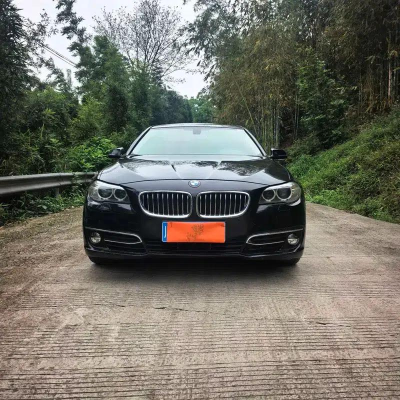 2014 BMW 5 Series 525Li Luxury Design Package — миниатюра 2