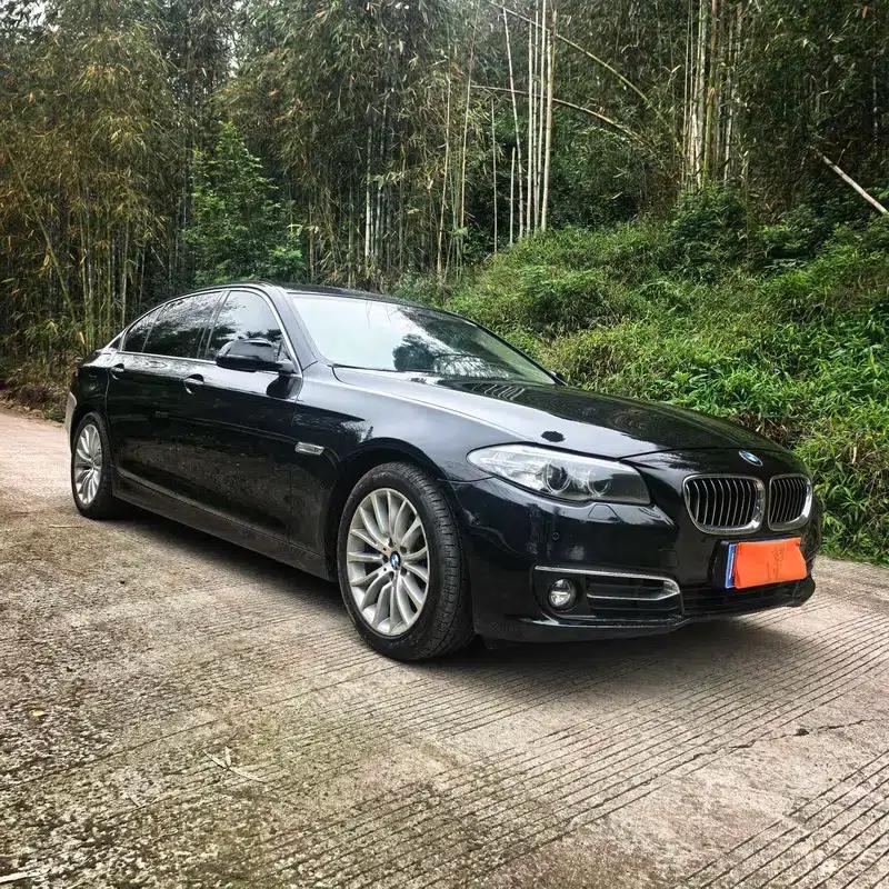 2014 BMW 5 Series 525Li Luxury Design Package — миниатюра 3