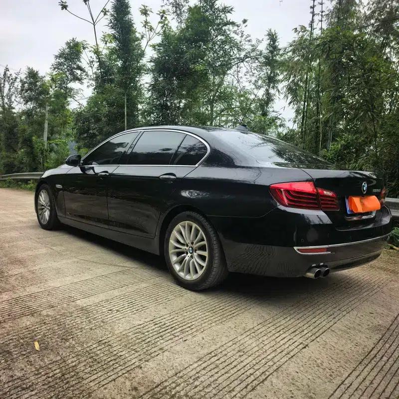 2014 BMW 5 Series 525Li Luxury Design Package — миниатюра 5