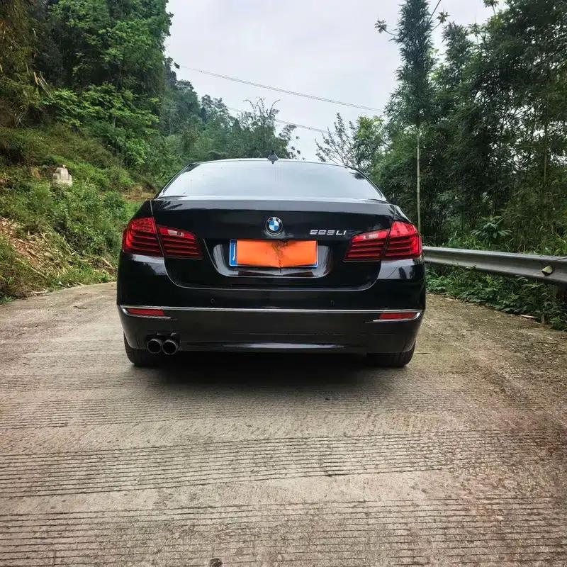 2014 BMW 5 Series 525Li Luxury Design Package — миниатюра 6