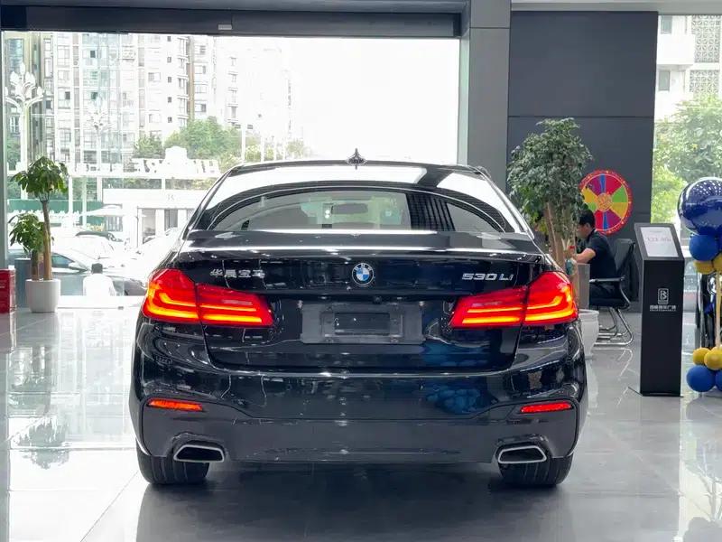 2020 BMW 5 Series 530Li Leading Edition M Sport Package — миниатюра 4