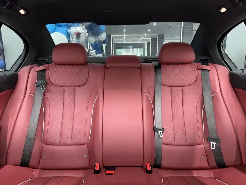 2020 BMW 5 Series 530Li Leading Edition M Sport Package — миниатюра 9