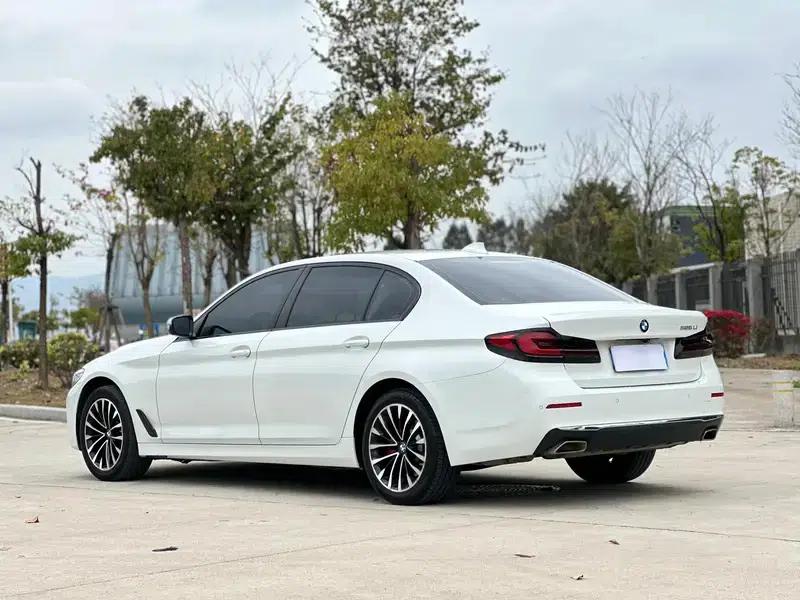 2021 BMW 5 Series Facelift 525Li Luxury Package — миниатюра 5