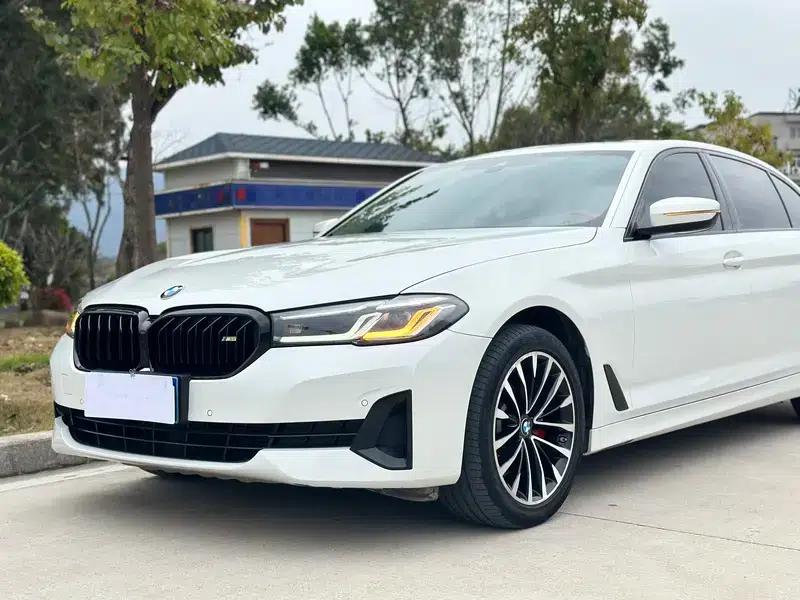 2021 BMW 5 Series Facelift 525Li Luxury Package — миниатюра 8