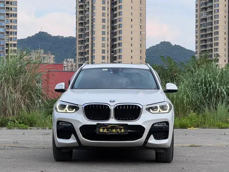 BMW X3 2019 xDrive30i Luxury M Sport Package — миниатюра 2