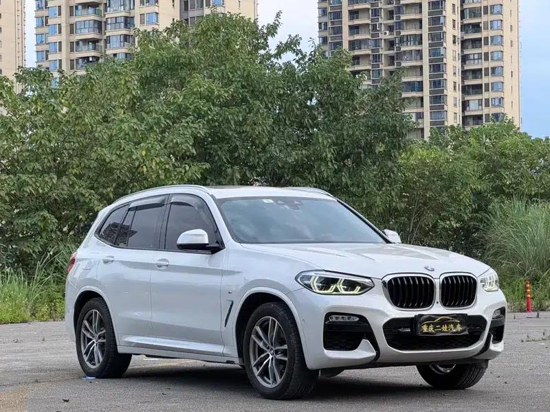 BMW X3 2019 xDrive30i Luxury M Sport Package — миниатюра 3