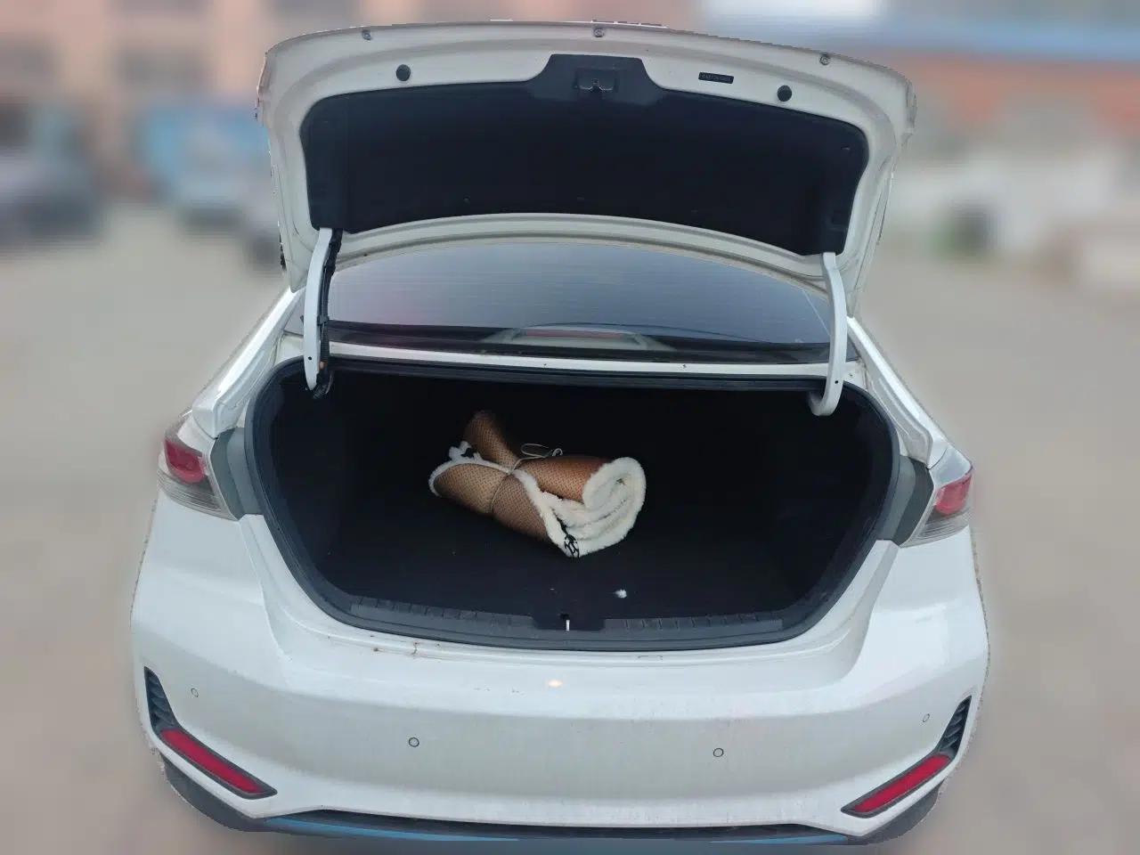 Hyundai Elantra PHEV 2019 1.6L PHX Le Xing Edition — миниатюра 19