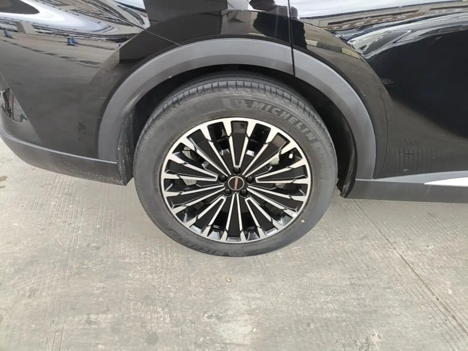 EXEED Stellar 2023 400T Four-Wheel Drive Enjoying the Flying Fish Edition — миниатюра 16
