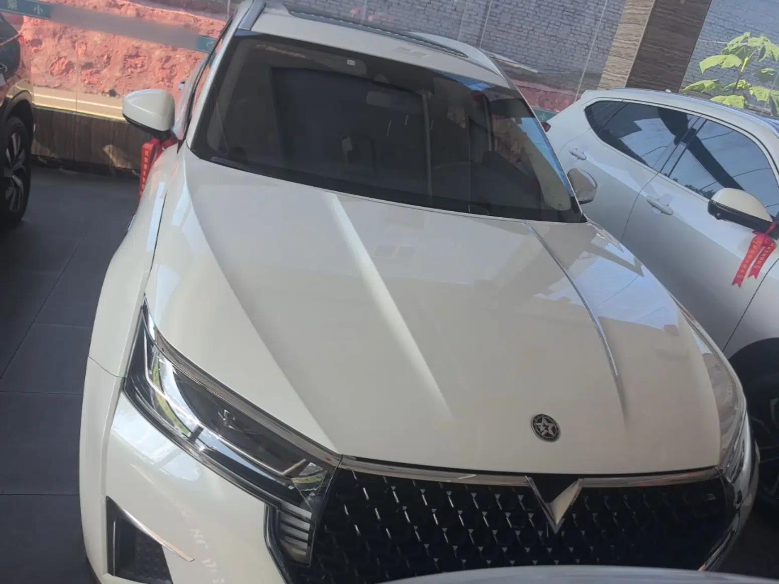 Venucia Star 2021 260T Automatic 48V Mild Hybrid Turbocharged Star Achieve Edition — миниатюра 2