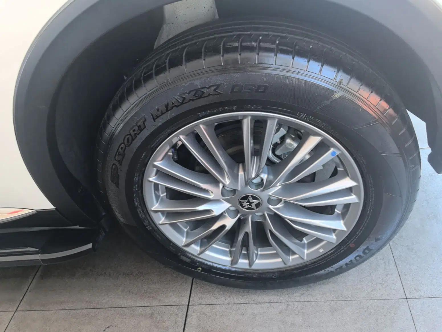 Venucia Star 2021 260T Automatic 48V Mild Hybrid Turbocharged Star Achieve Edition — миниатюра 11