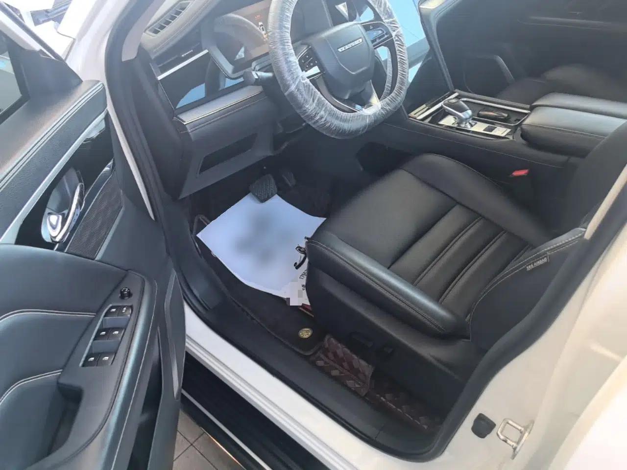 Venucia Star 2021 260T Automatic 48V Mild Hybrid Turbocharged Star Achieve Edition — миниатюра 18