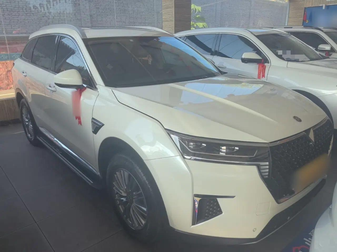 Venucia Star 2021 260T Automatic 48V Mild Hybrid Turbocharged Star Achieve Edition — миниатюра 3