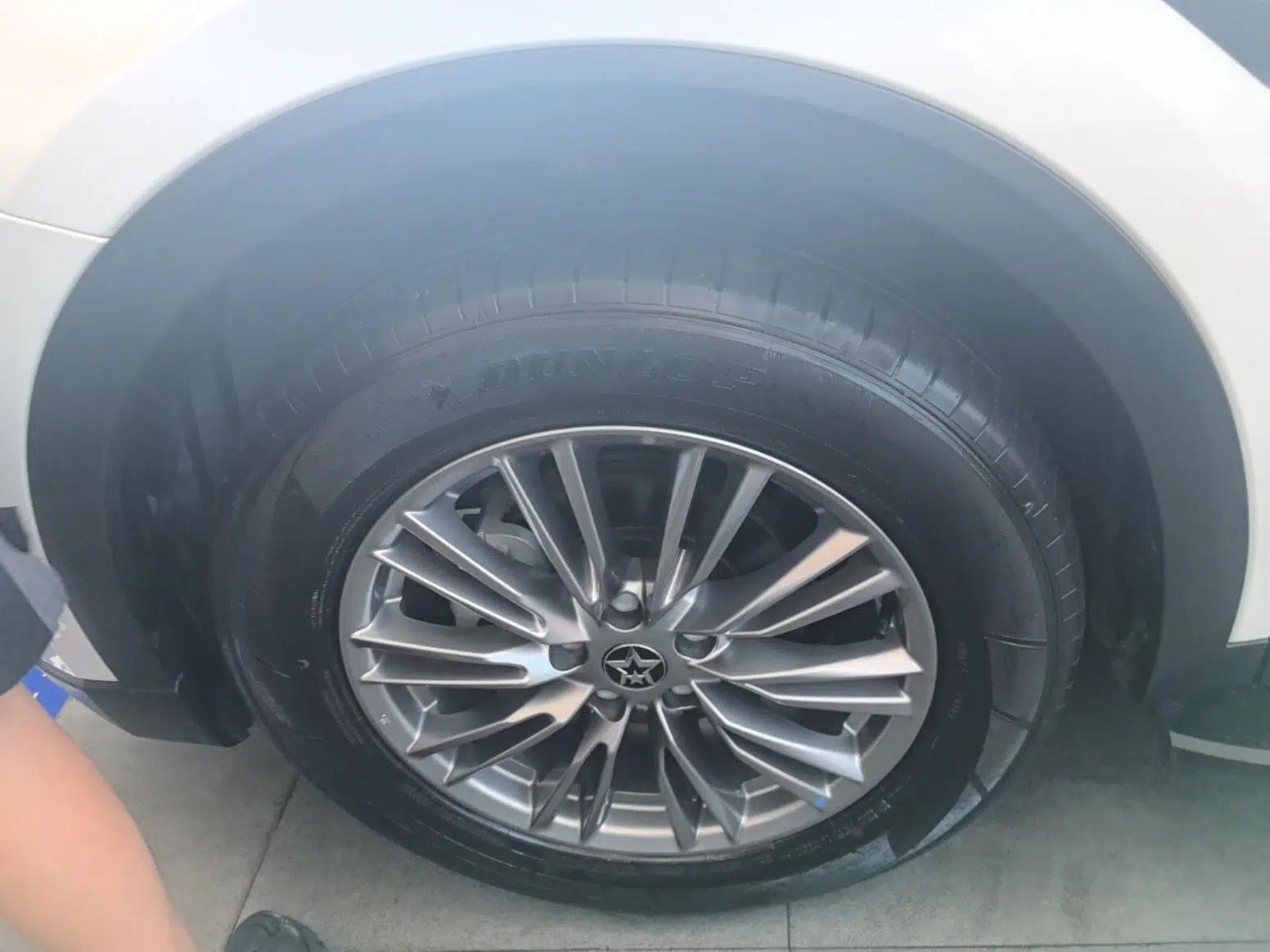 Venucia Star 2021 260T Automatic 48V Mild Hybrid Turbocharged Star Achieve Edition — миниатюра 10