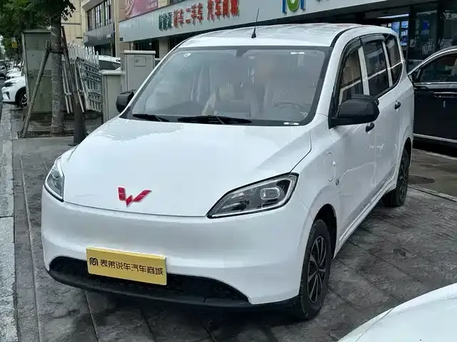 Wuling Hongguang New Energy 2024 Pure Electric Version 300KM Standard Edition