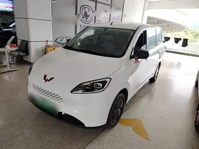 Wuling Hongguang New Energy 2025 Range-Extended Hybrid 50km Comfort Model