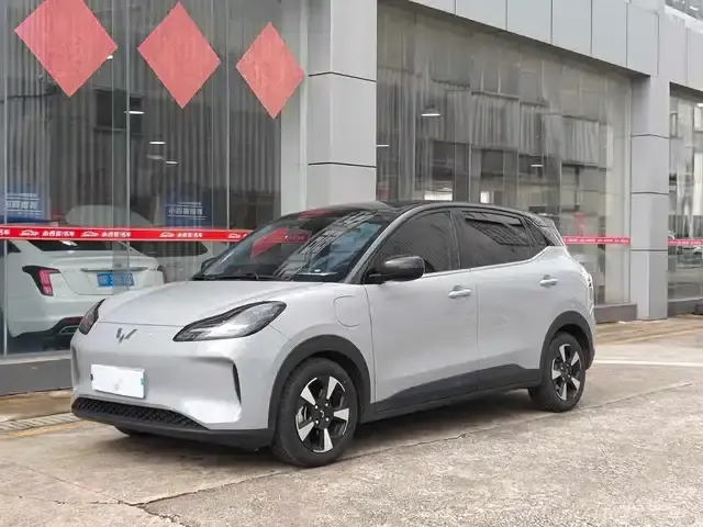 Wuling Bingo PLUS 2024 Model 401km Flagship Edition Four-Seater