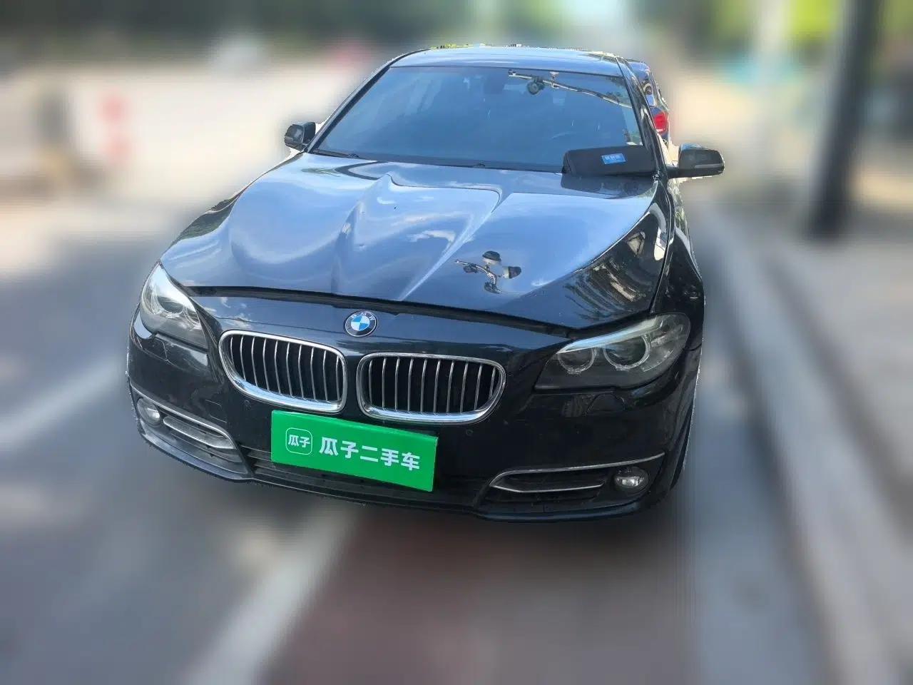 BMW 5 Series 2014 525Li Luxury Design Package — миниатюра 2
