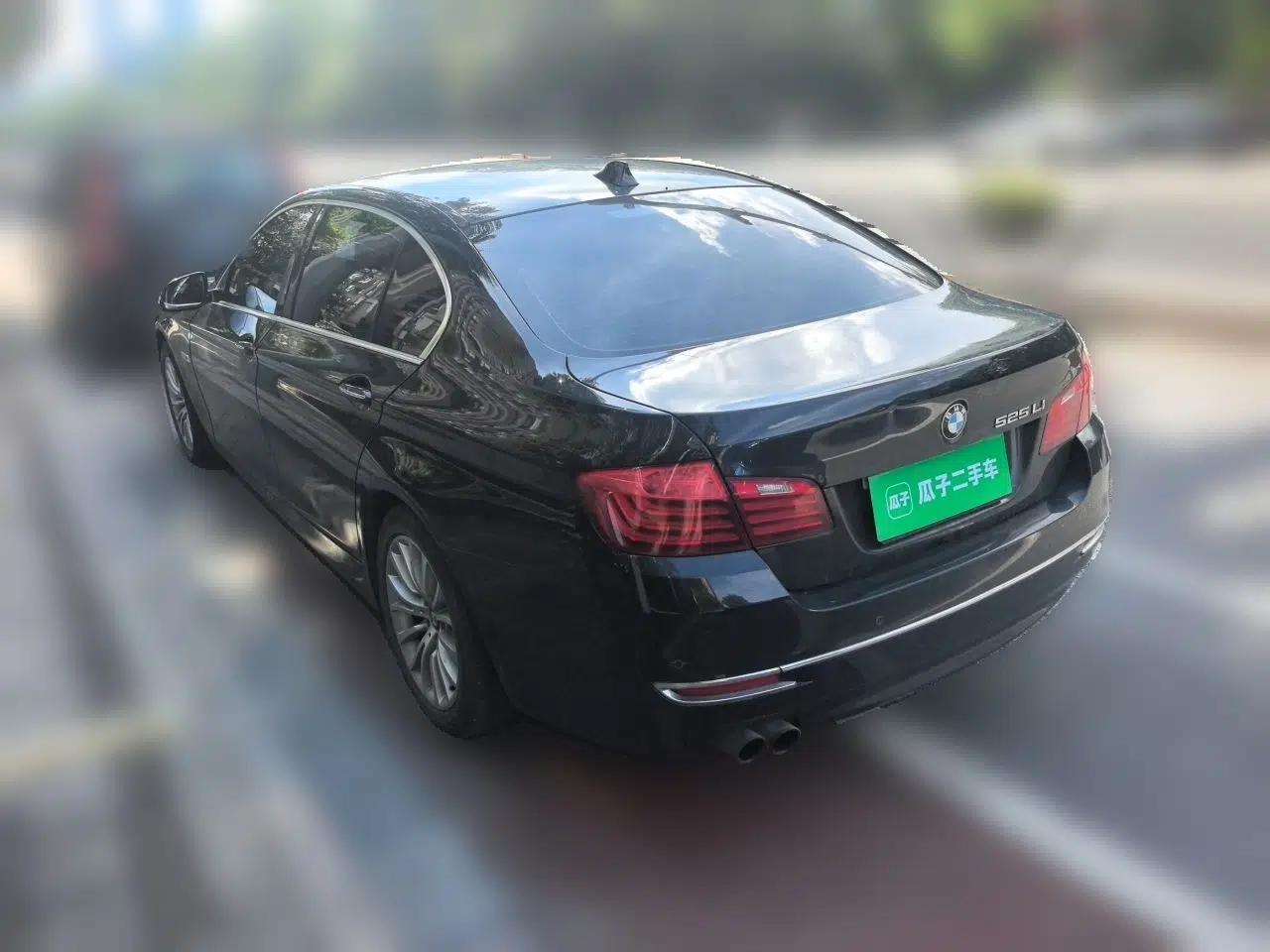 BMW 5 Series 2014 525Li Luxury Design Package — миниатюра 4