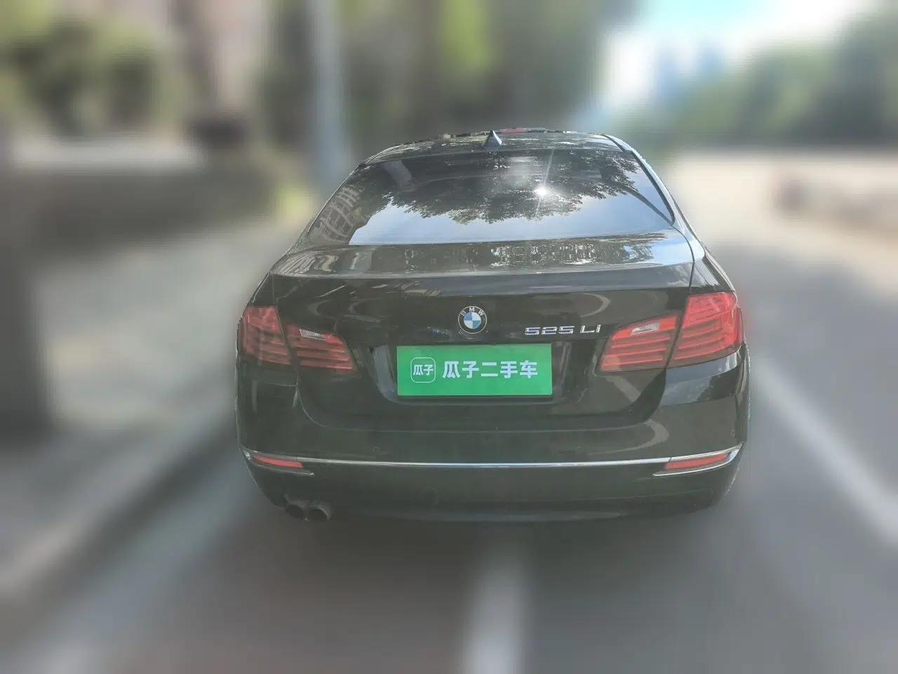 BMW 5 Series 2014 525Li Luxury Design Package — миниатюра 5