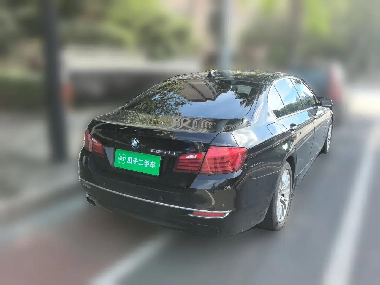 BMW 5 Series 2014 525Li Luxury Design Package — миниатюра 6
