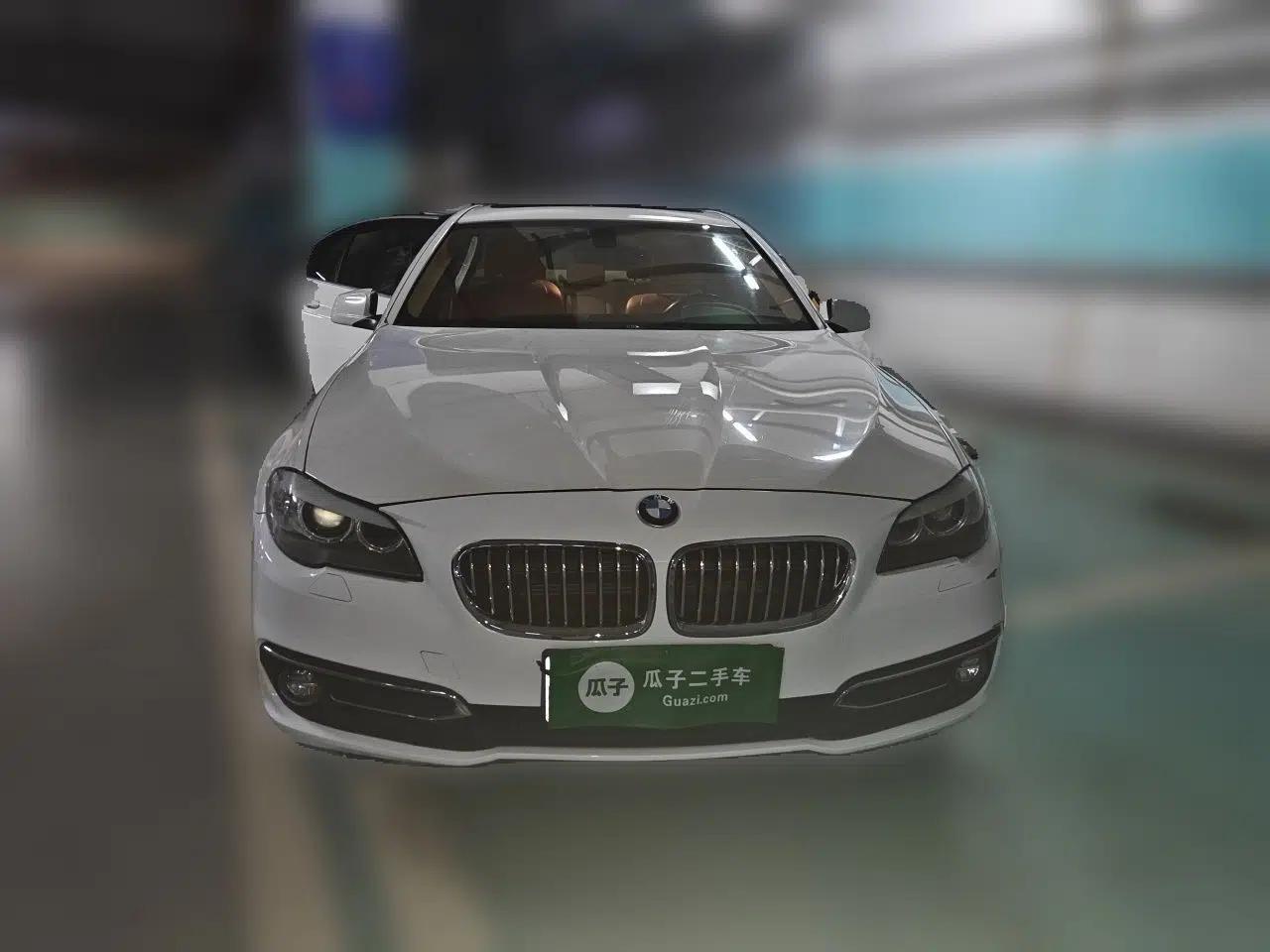 BMW 5 Series 2013 525Li Luxury Model — миниатюра 2