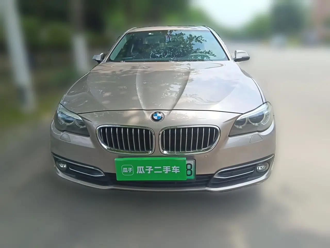 BMW 5 Series New Energy 2015 530Le — миниатюра 2