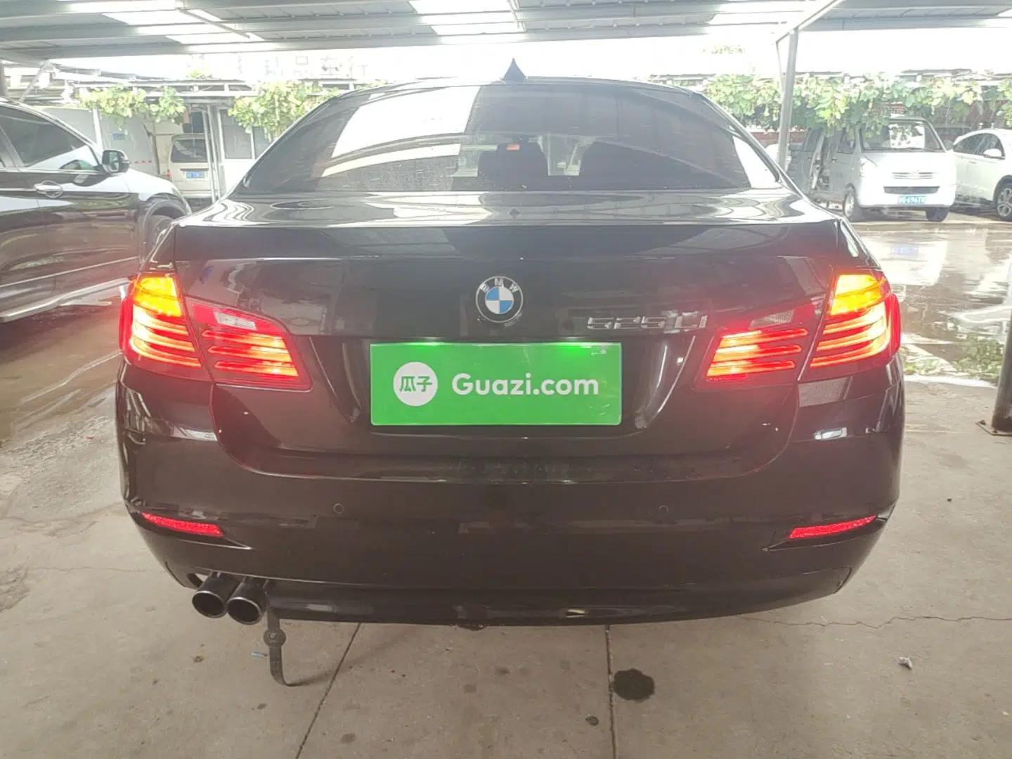 BMW 5 Series 2014 525Li Leading Model — миниатюра 5